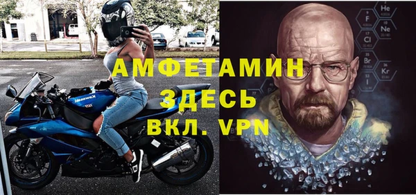 индика Абаза