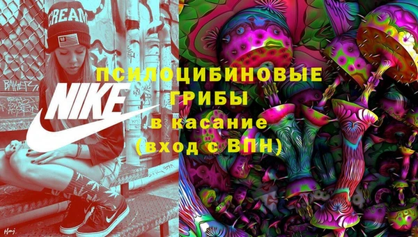 индика Абаза