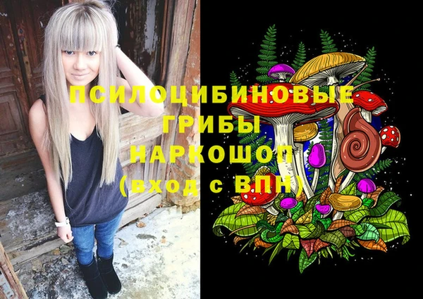 индика Абаза