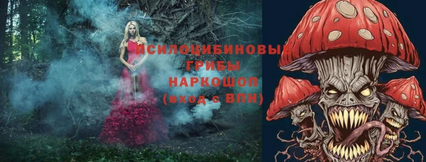 стаф Алексеевка