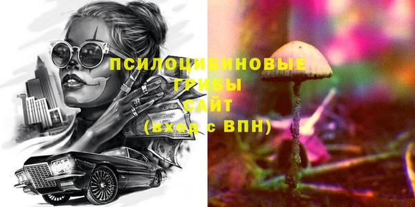крисы Алзамай