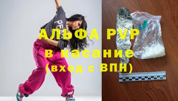 индика Абаза