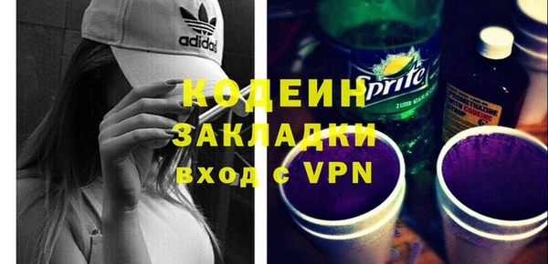 индика Абаза