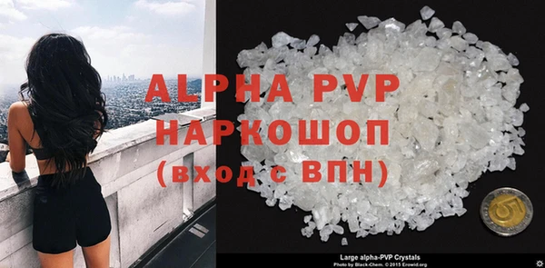 индика Абаза