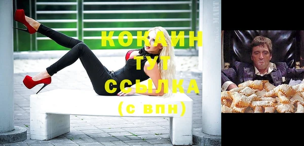 индика Абаза
