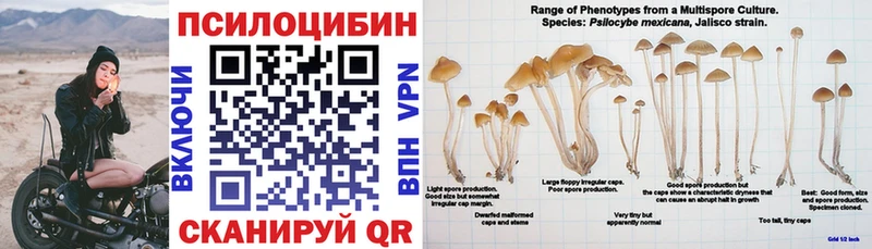 цены Моршанск Галлюциногенные грибы Magic Shrooms